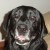 A Tribute To SAMPSON