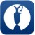 British Open Will Be New Day