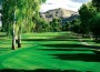 Scottsdale Golf Group Acquires Orange Tree Golf Club