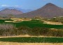 3rd Annual West Valley Amateur Championship